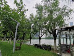 -天鹅湖体育公园