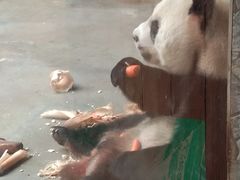 -西安秦岭野生动物园