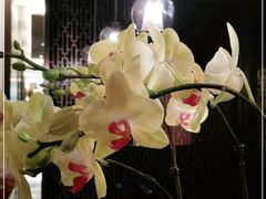 -丽晶轩中餐厅(重庆丽晶酒店)