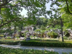 -红梅公园