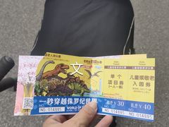 -自然谷恐龙园