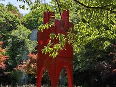 -东平国家森林公园