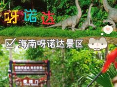 -呀诺达热带雨林