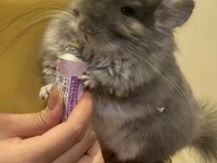 -龙猫仔乐园(惠福东路店)