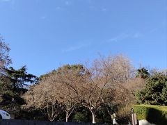 -伯先公园