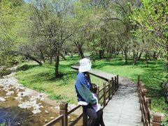 -大水川景区