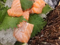 -菊上•尊品料理(蚌埠银泰店)