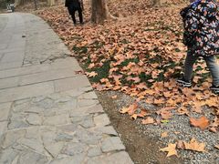 -采石矶景区