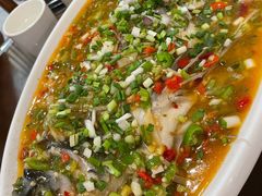 飞虹鱼-飞虹鱼馆(春华路店)