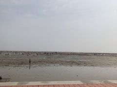 -刘家湾赶海园