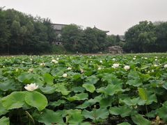 -二一九公园