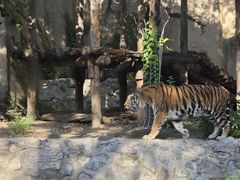 -北京动物园-畅观楼