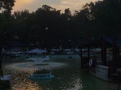 -紫马岭公园