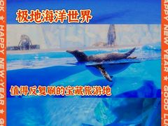 -石家庄极地海洋世界
