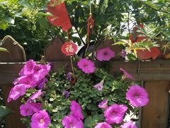 景观位-老鼎万春卤菜(五代传承创始老店)