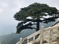 -天柱山风景区