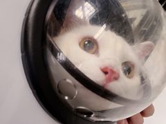 -爱侣宠医·鹦鹉专科·小型哺乳类·异宠专科(灵石路店)