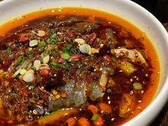 凉拌鸡-铁公鸡·四川料理(天环广场店)