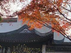 -秋霞圃