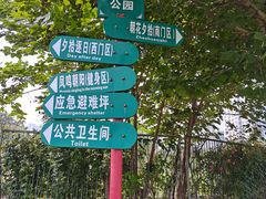 -太阳宫公园