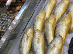 -天盛海鲜烧烤大排档·本地小海鲜·牟平腿穗子(幸福店)