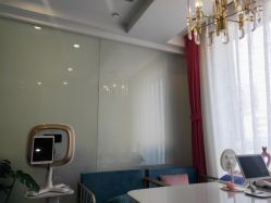 -归真美学颜究中心