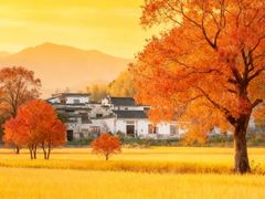 -塔川景区
