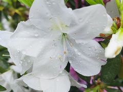 -玄武湖景区-情侣园游乐场