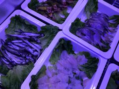 -圣捞海鲜自助餐厅(乐从天佑城店)