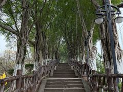-丰都鬼城名山景区