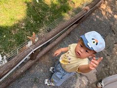 -淄博聊斋城景区