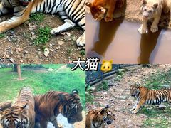 -济南野生动物世界