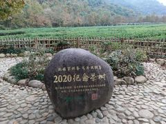 -中国茶叶博物馆(双峰馆区)