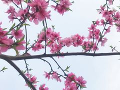 -海底捞火锅(玉桥商业广场店)