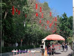 -金鸡山公园