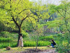 -上海共青森林公园