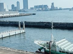 -大阪海游馆