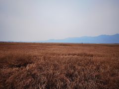 -野鸭湖国家湿地公园