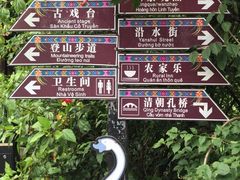 -靖西鹅泉风景区