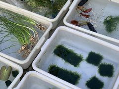 -华声天桥民俗文化园