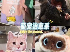 -袖虎宠物(锦绣生态园店)