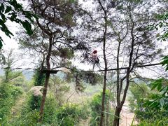 -芦仙山景区-飞越丛林探险乐园