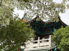 -济南大明湖景区