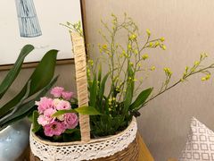 -龙大花卉苗木市场