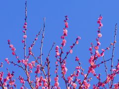 -洛龙公园