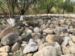 -长广溪湿地公园