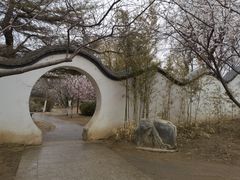 -桃花堤公园