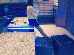 iphone_upload_pic-歌韵量贩式KTV
