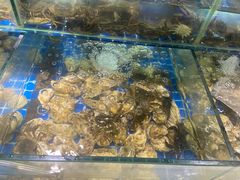 水产区-鼎级香· 火锅烤肉自助丨涮烤一体(蜀山唯品会店)