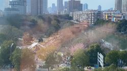 点击看大图 -Yestar宁波艺星整形医院